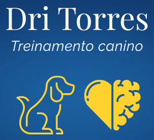 Logo com fundo azul escuro, letras em branco escrito centralizado Dri Torres Treinamento Canino. Abaixo, centralizado, dois ícones, um cão de perfil sentado, feito em linha contínua de cor amarelo ouro e, em frente a ele, uma mistura de coração com cérebro, também em cor amarelo.