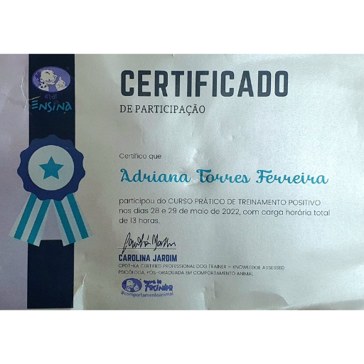 Certificado de conclusão de curso na Turma do Focinho sobre treino prático.