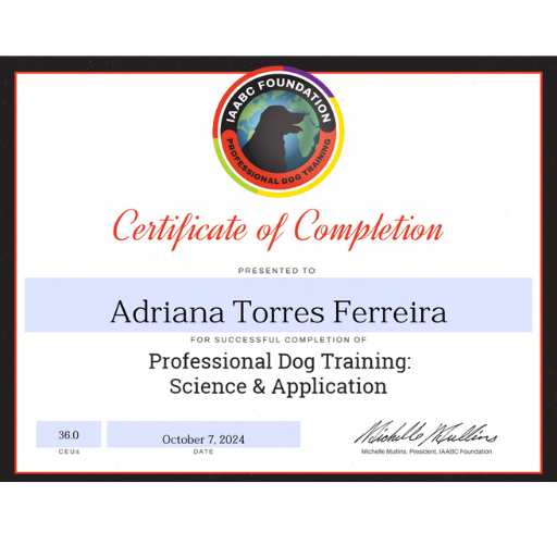 Certificado de conclusão de curso na IAABC Foundation, sobre ciência e aplicação da ciência no treino profissional de cães.