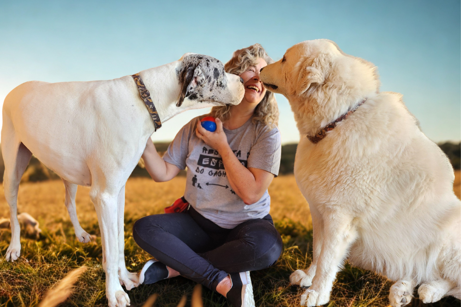 Foto minha, mulher branca de meia idade, cabelos na altura dos ombros, com mechas loiras. Ele um cão kuvasz de pelo branco farto e ela uma dogue alemã de pelo branco e manchas na cabeça. Eles cheiram meu rosto e eu estou sorrindo olhando para o Jack à minha direita. Estou sentada na grama e atrás tem uma paisagem bucolica.