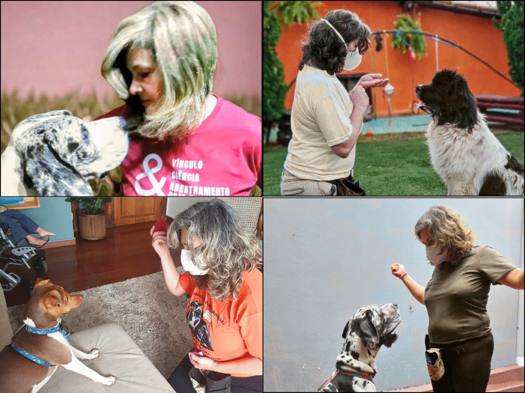 Colagem com fotos minhas e cães meus e de clientes. Estou em todas as fotos fazendo alguma ativiadde de foco do cão em mim, em diferentes contextos.