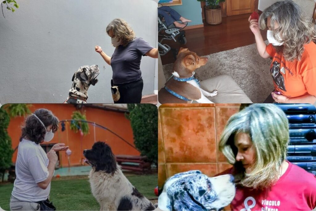 Colagem com fotos minhas e cães meus e de clientes. Estou em todas as fotos fazendo alguma ativiadde de foco do cão em mim, em diferentes contextos.