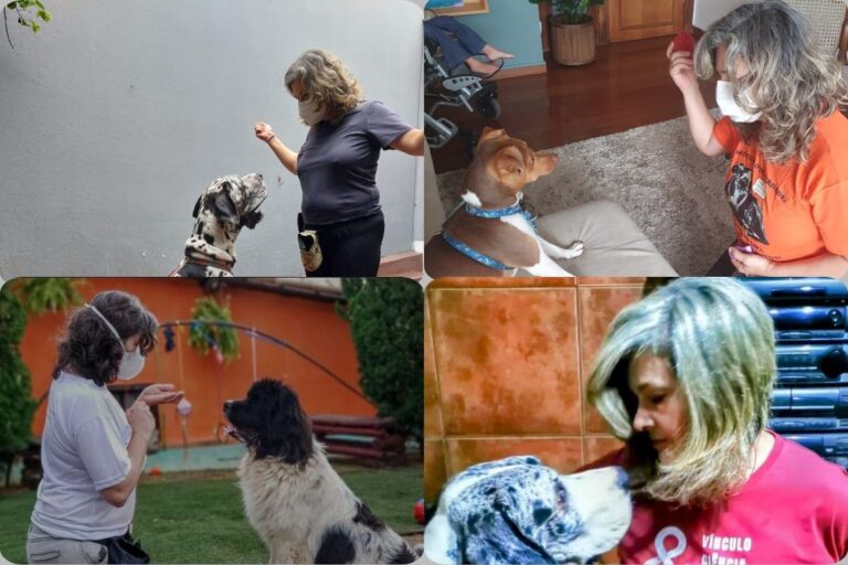 Como construir foco do seu cão em você