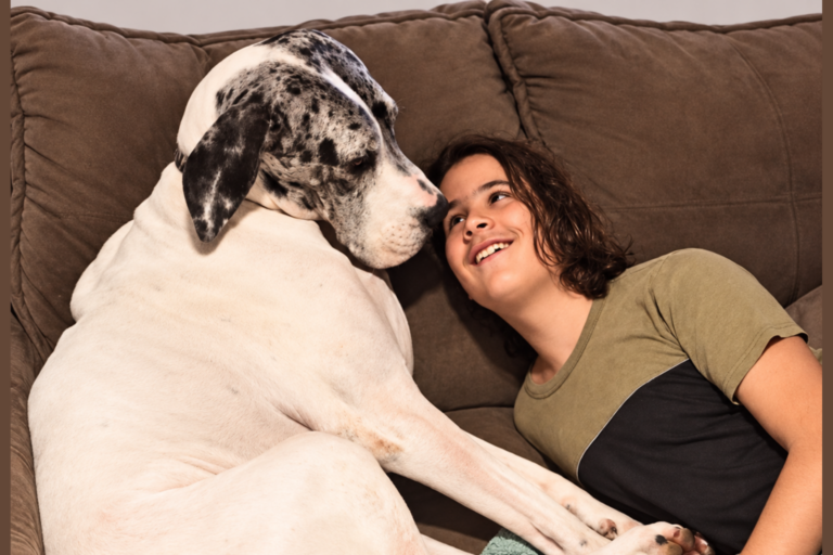 Stims e cães: dá para conviver?